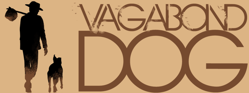 Vagabond dog